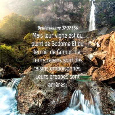Picture 04 - Deutéronome 32:32 LSG - Mais leur vigne est du plant de Sodome Et du - Bible Verse Picture