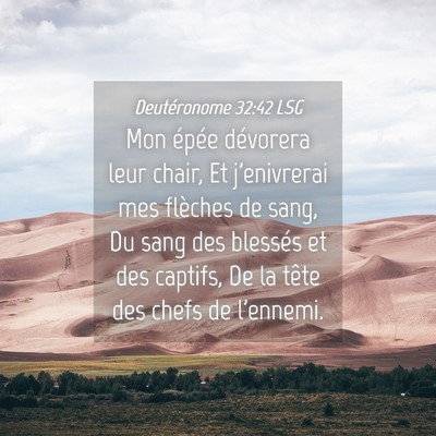 Picture 04 - Deutéronome 32:42 LSG - Mon épée dévorera leur chair, Et j'enivrerai - Bible Verse Picture