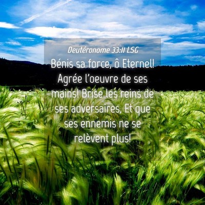 Picture 04 - Deutéronome 33:11 LSG - Bénis sa force, ô Eternel! Agrée l'oeuvre de - Bible Verse Picture