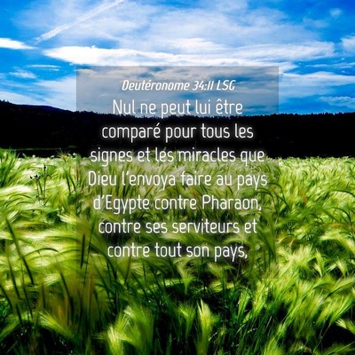 Picture 04 - Deutéronome 34:11 LSG - Nul ne peut lui être comparé pour tous les - Bible Verse Picture