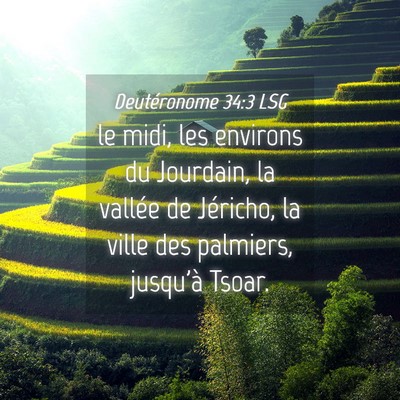 Picture 04 - Deutéronome 34:3 LSG - le midi, les environs du Jourdain, la vallée de - Bible Verse Picture