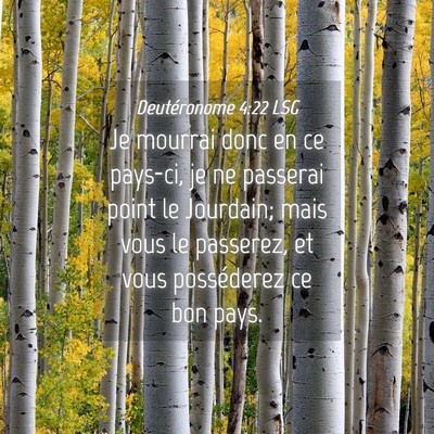 Picture 04 - Deutéronome 4:22 LSG - Je mourrai donc en ce pays-ci, je ne passerai - Bible Verse Picture