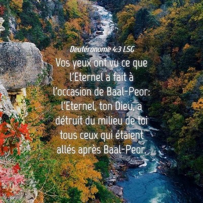 Picture 04 - Deutéronome 4:3 LSG - Vos yeux ont vu ce que l'Eternel a fait à - Bible Verse Picture