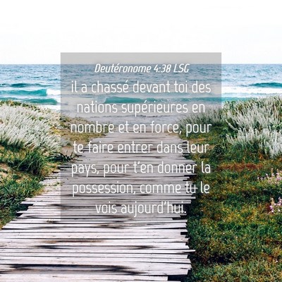 Picture 04 - Deutéronome 4:38 LSG - il a chassé devant toi des nations supérieures - Bible Verse Picture