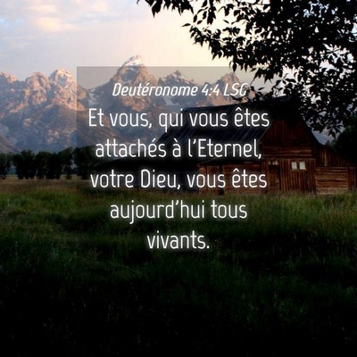 Picture 04 - Deutéronome 4:4 LSG - Et vous, qui vous êtes attachés à l'Eternel, - Bible Verse Picture