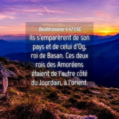 Picture 04 - Deutéronome 4:47 LSG - Ils s'emparèrent de son pays et de celui d'Og, - Bible Verse Picture