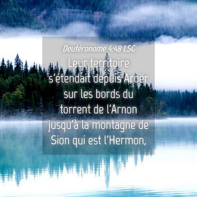Picture 04 - Deutéronome 4:48 LSG - Leur territoire s'étendait depuis Aroër sur les - Bible Verse Picture