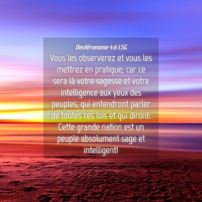 Picture 04 - Deutéronome 4:6 LSG - Vous les observerez et vous les mettrez en - Bible Verse Picture