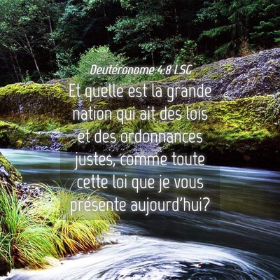 Picture 04 - Deutéronome 4:8 LSG - Et quelle est la grande nation qui ait des lois - Bible Verse Picture