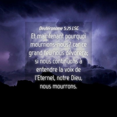 Picture 04 - Deutéronome 5:25 LSG - Et maintenant pourquoi mourrions-nous? car ce - Bible Verse Picture