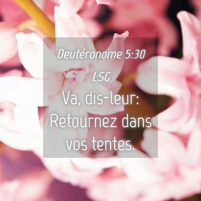 Picture 04 - Deutéronome 5:30 LSG - Va, dis-leur: Retournez dans vos - Bible Verse Picture