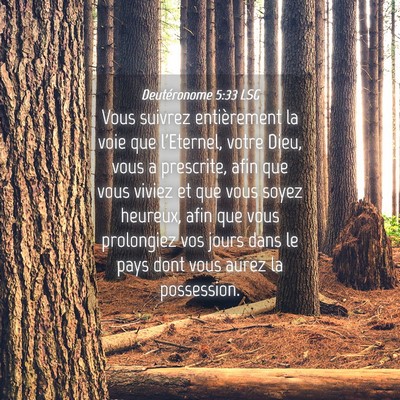 Picture 04 - Deutéronome 5:33 LSG - Vous suivrez entièrement la voie que l'Eternel, - Bible Verse Picture