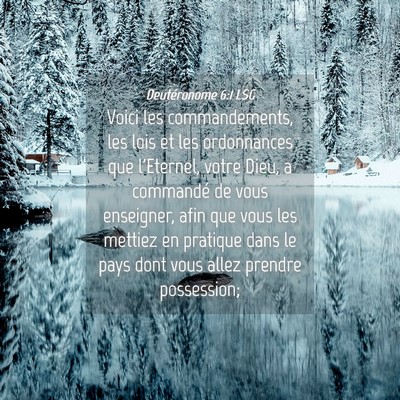 Picture 04 - Deutéronome 6:1 LSG - Voici les commandements, les lois et les - Bible Verse Picture