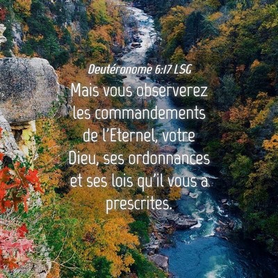 Picture 04 - Deutéronome 6:17 LSG - Mais vous observerez les commandements de - Bible Verse Picture