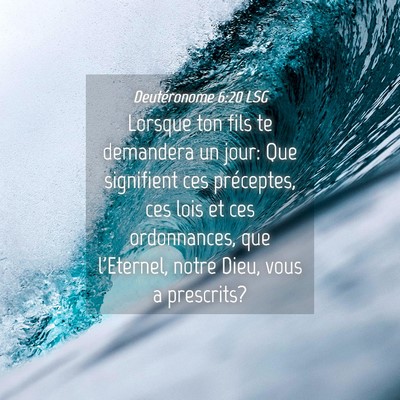 Picture 04 - Deutéronome 6:20 LSG - Lorsque ton fils te demandera un jour: Que - Bible Verse Picture
