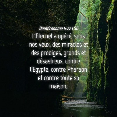 Picture 04 - Deutéronome 6:22 LSG - L'Eternel a opéré, sous nos yeux, des miracles - Bible Verse Picture