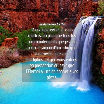 Picture 04 - Deutéronome 8:1 LSG - Vous observerez et vous mettrez en pratique tous - Bible Verse Picture