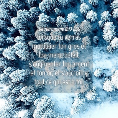 Picture 04 - Deutéronome 8:13 LSG - lorsque tu verras multiplier ton gros et ton menu - Bible Verse Picture