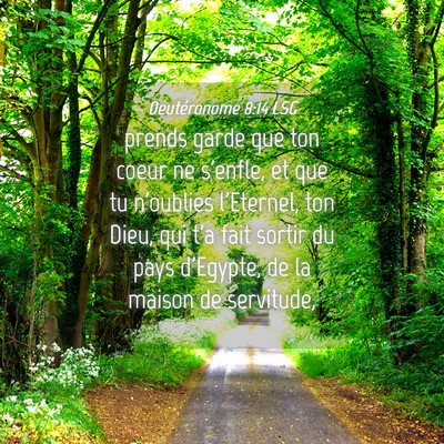 Picture 04 - Deutéronome 8:14 LSG - prends garde que ton coeur ne s'enfle, et que tu - Bible Verse Picture