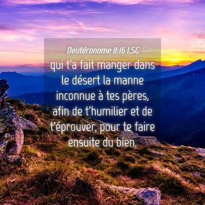 Picture 04 - Deutéronome 8:16 LSG - qui t'a fait manger dans le désert la manne - Bible Verse Picture