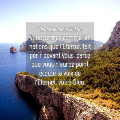 Picture 04 - Deutéronome 8:20 LSG - Vous périrez comme les nations que l'Eternel - Bible Verse Picture