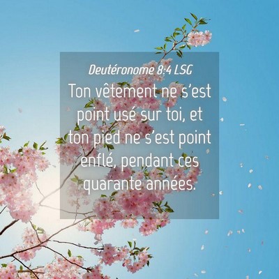 Picture 04 - Deutéronome 8:4 LSG - Ton vêtement ne s'est point usé sur toi, et ton - Bible Verse Picture