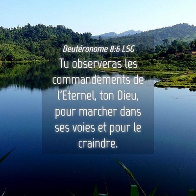 Picture 04 - Deutéronome 8:6 LSG - Tu observeras les commandements de l'Eternel, ton - Bible Verse Picture