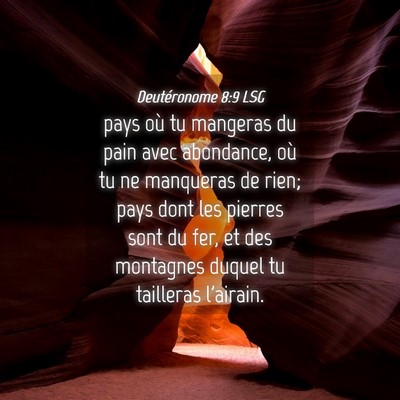 Picture 04 - Deutéronome 8:9 LSG - pays où tu mangeras du pain avec abondance, où - Bible Verse Picture