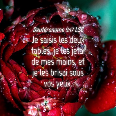 Picture 04 - Deutéronome 9:17 LSG - Je saisis les deux tables, je les jetai de mes - Bible Verse Picture