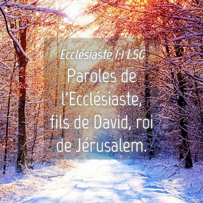 Picture 04 - Ecclésiaste 1:1 LSG - Paroles de l'Ecclésiaste, fils de David, roi de - Bible Verse Picture