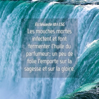 Picture 04 - Ecclésiaste 10:1 LSG - Les mouches mortes infectent et font fermenter - Bible Verse Picture