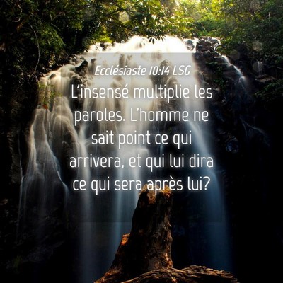 Picture 04 - Ecclésiaste 10:14 LSG - L'insensé multiplie les paroles. L'homme ne sait - Bible Verse Picture