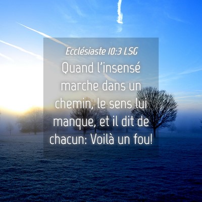 Picture 04 - Ecclésiaste 10:3 LSG - Quand l'insensé marche dans un chemin, le sens - Bible Verse Picture