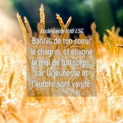 Picture 04 - Ecclésiaste 11:10 LSG - Bannis de ton coeur le chagrin, et éloigne le - Bible Verse Picture