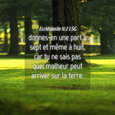 Picture 04 - Ecclésiaste 11:2 LSG - donnes-en une part à sept et même à huit, car - Bible Verse Picture