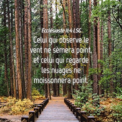 Picture 04 - Ecclésiaste 11:4 LSG - Celui qui observe le vent ne sèmera point, et - Bible Verse Picture