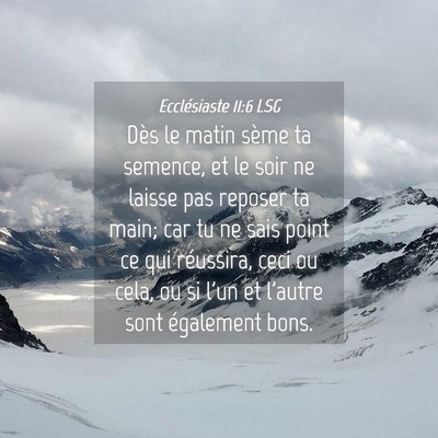 Picture 04 - Ecclésiaste 11:6 LSG - Dès le matin sème ta semence, et le soir ne - Bible Verse Picture