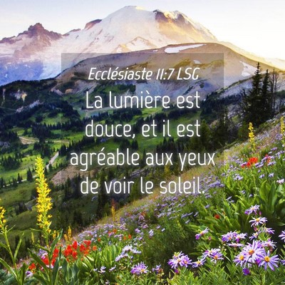 Picture 04 - Ecclésiaste 11:7 LSG - La lumière est douce, et il est agréable aux - Bible Verse Picture