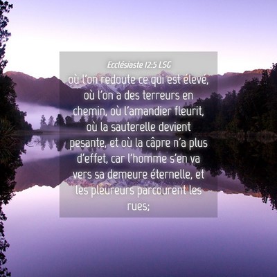 Picture 04 - Ecclésiaste 12:5 LSG - où l'on redoute ce qui est élevé, où l'on a - Bible Verse Picture