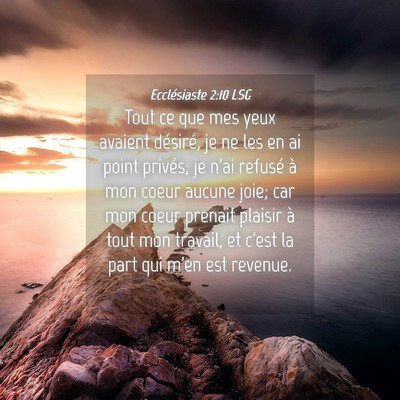 Picture 04 - Ecclésiaste 2:10 LSG - Tout ce que mes yeux avaient désiré, je ne les - Bible Verse Picture