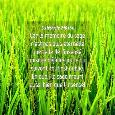 Picture 04 - Ecclésiaste 2:16 LSG - Car la mémoire du sage n'est pas plus éternelle - Bible Verse Picture