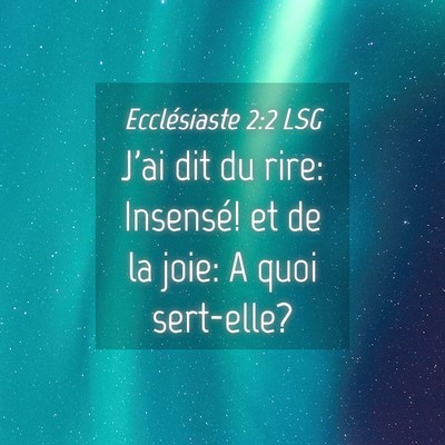 Picture 04 - Ecclésiaste 2:2 LSG - J'ai dit du rire: Insensé! et de la joie: A quoi - Bible Verse Picture