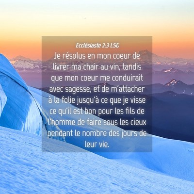 Picture 04 - Ecclésiaste 2:3 LSG - Je résolus en mon coeur de livrer ma chair au - Bible Verse Picture