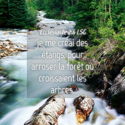 Picture 04 - Ecclésiaste 2:6 LSG - je me créai des étangs, pour arroser la forêt - Bible Verse Picture