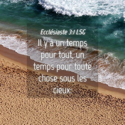 Picture 04 - Ecclésiaste 3:1 LSG - Il y a un temps pour tout, un temps pour toute - Bible Verse Picture