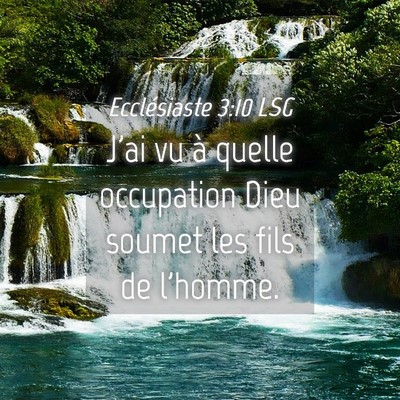 Picture 04 - Ecclésiaste 3:10 LSG - J'ai vu à quelle occupation Dieu soumet les fils - Bible Verse Picture