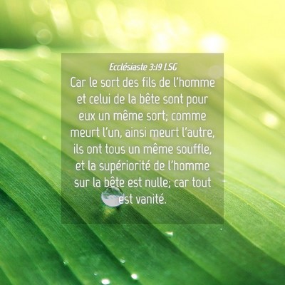 Picture 04 - Ecclésiaste 3:19 LSG - Car le sort des fils de l'homme et celui de la - Bible Verse Picture