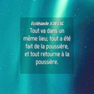 Picture 04 - Ecclésiaste 3:20 LSG - Tout va dans un même lieu; tout a été fait de - Bible Verse Picture