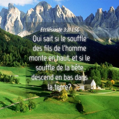 Picture 04 - Ecclésiaste 3:21 LSG - Qui sait si le souffle des fils de l'homme monte - Bible Verse Picture