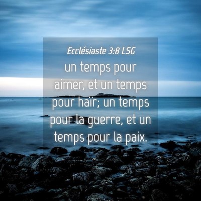Picture 04 - Ecclésiaste 3:8 LSG - un temps pour aimer, et un temps pour haïr; un - Bible Verse Picture